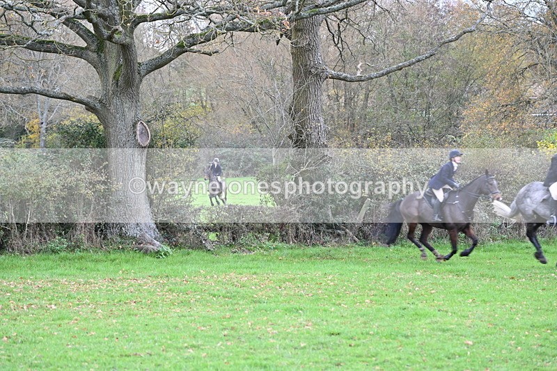 WJ6_1470 - Camera 1