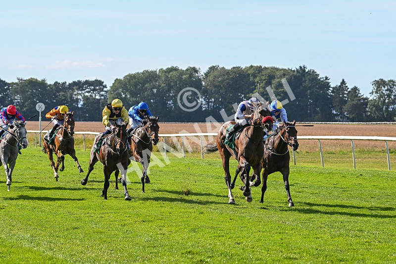 160924-Race 3-Moostar-2738 - Race 3