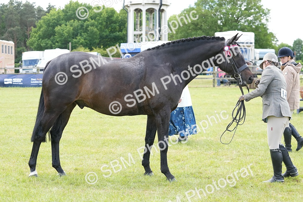 SBM_16205 - Class 105-106 - RIHS Riding Horses