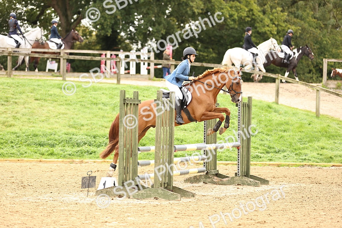 SBM_58517 - J41 - Grand Tour Horse & Pony 95cm