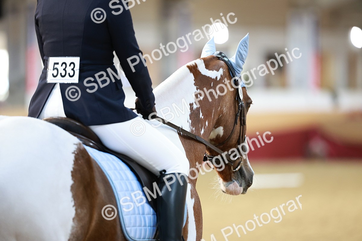 SBM_09175 - Class 61 - Dressage to Music