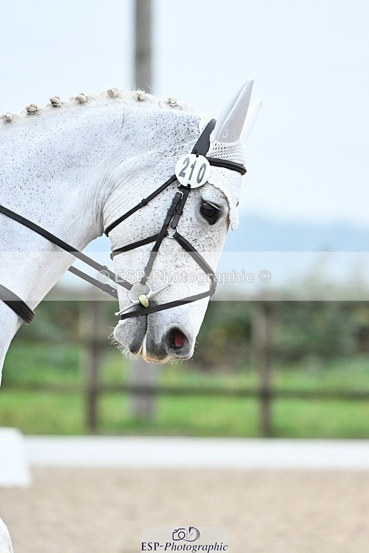 241103-152138-03107 - Novice 1 - 14.44 to 16.08