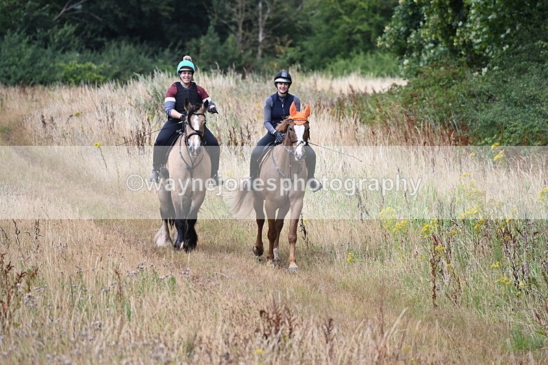 WJ6_2423 - Group 7