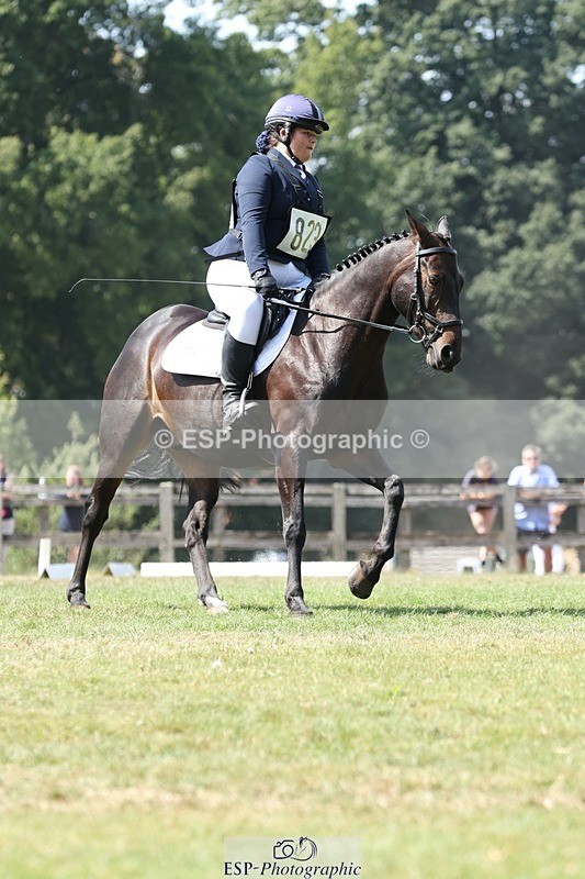 250823A-131431-31265 - Arena D