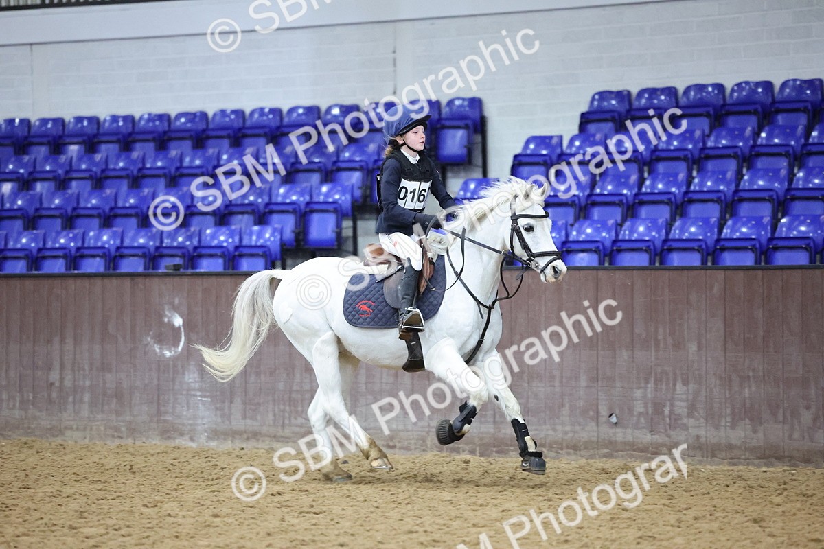 SBM_001019 - Class 3 - Christmas Tree Stakes - 60cm