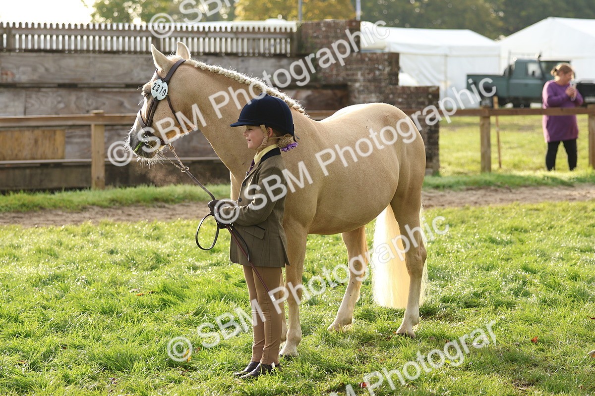 SBM_54849 - S39 - Starters In Hand Showing