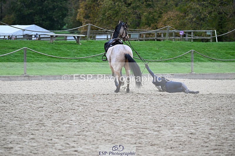 241116-105709-00726 - Cls 2 80-85cm Start to 11.30