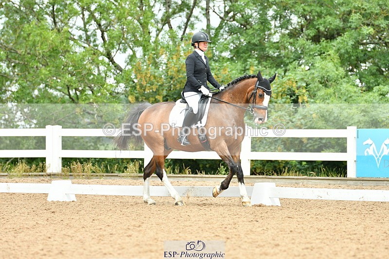 230701A-114921-05563 - Cls 7 Elementary 45