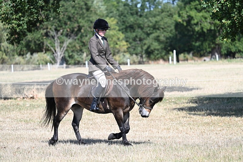 WJ7_3963 - Class 9 Mountain & Moorland Ridden