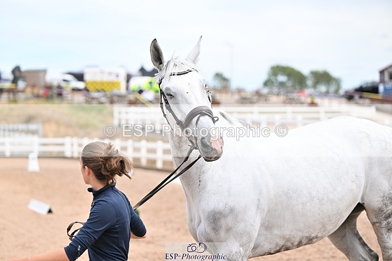 250716-142913-01112 - Trot Up 1.30 to 2.30