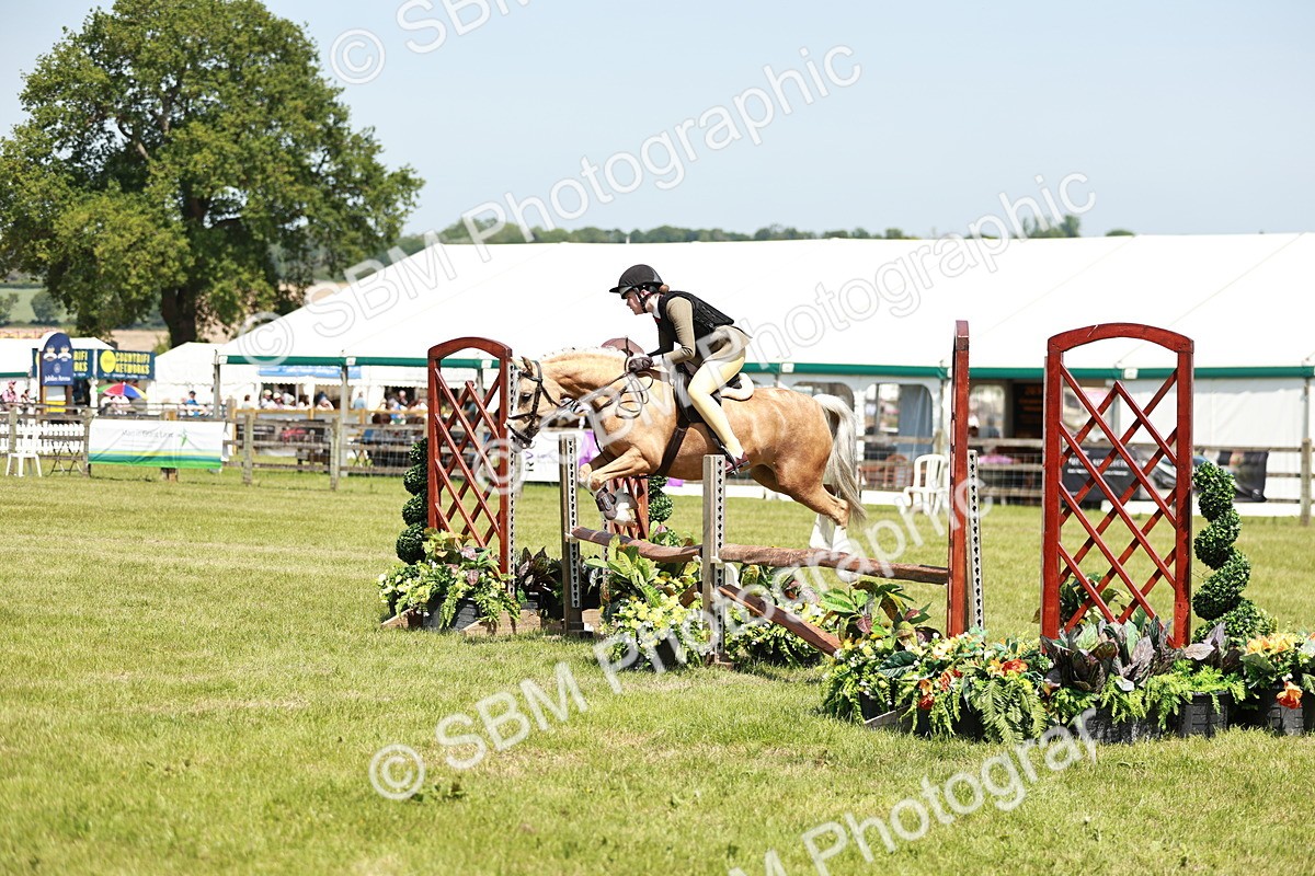 SBM_15667 - Class 108-109 - BSPS LIHS Open Gradle & Nursery Stakes