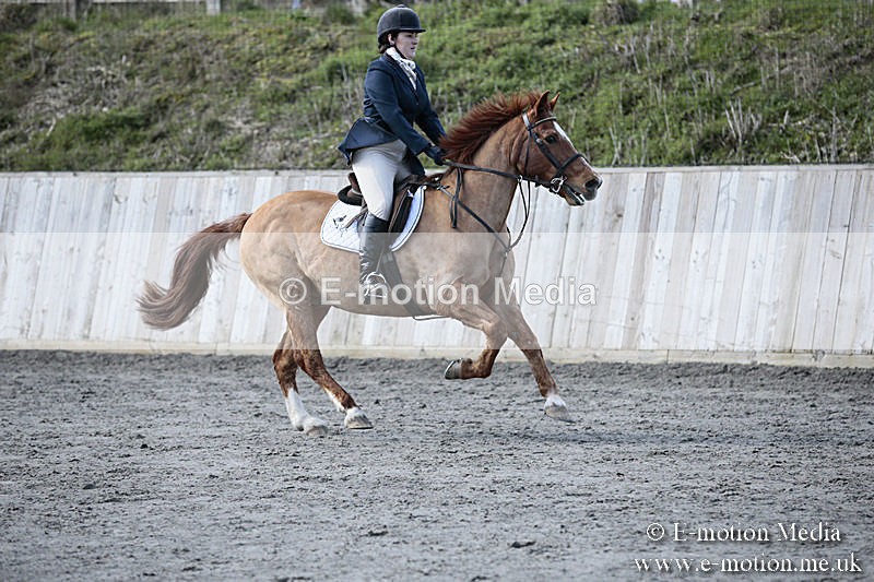 BVRC SJ 170319 209 - Bourne Valley Riding Club Showjumping 17/03/19