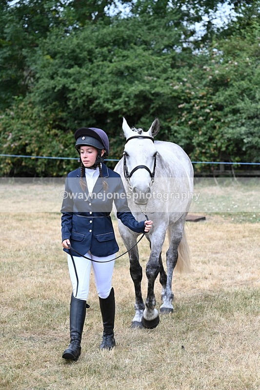 WJ7_1860 - Class 4a Prettiest Mare 14.2hh and over hand