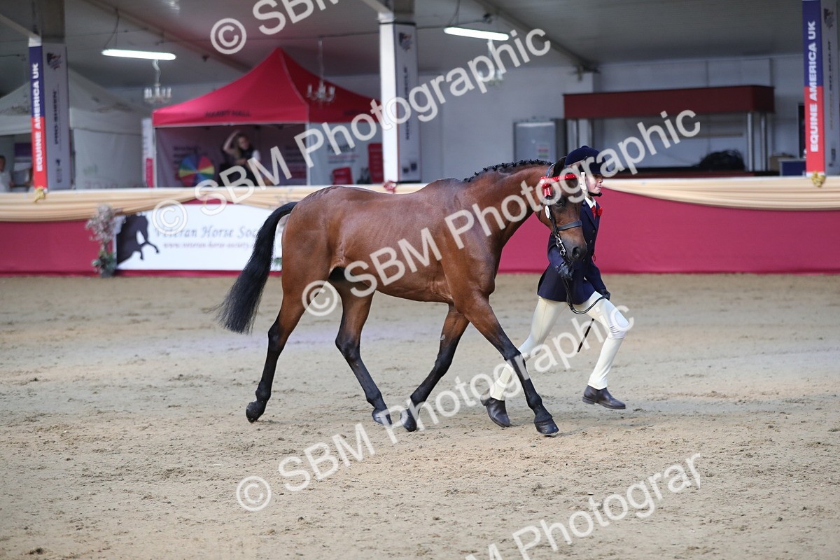 SBM_01343 - Class 3a Area IH Pre Vet