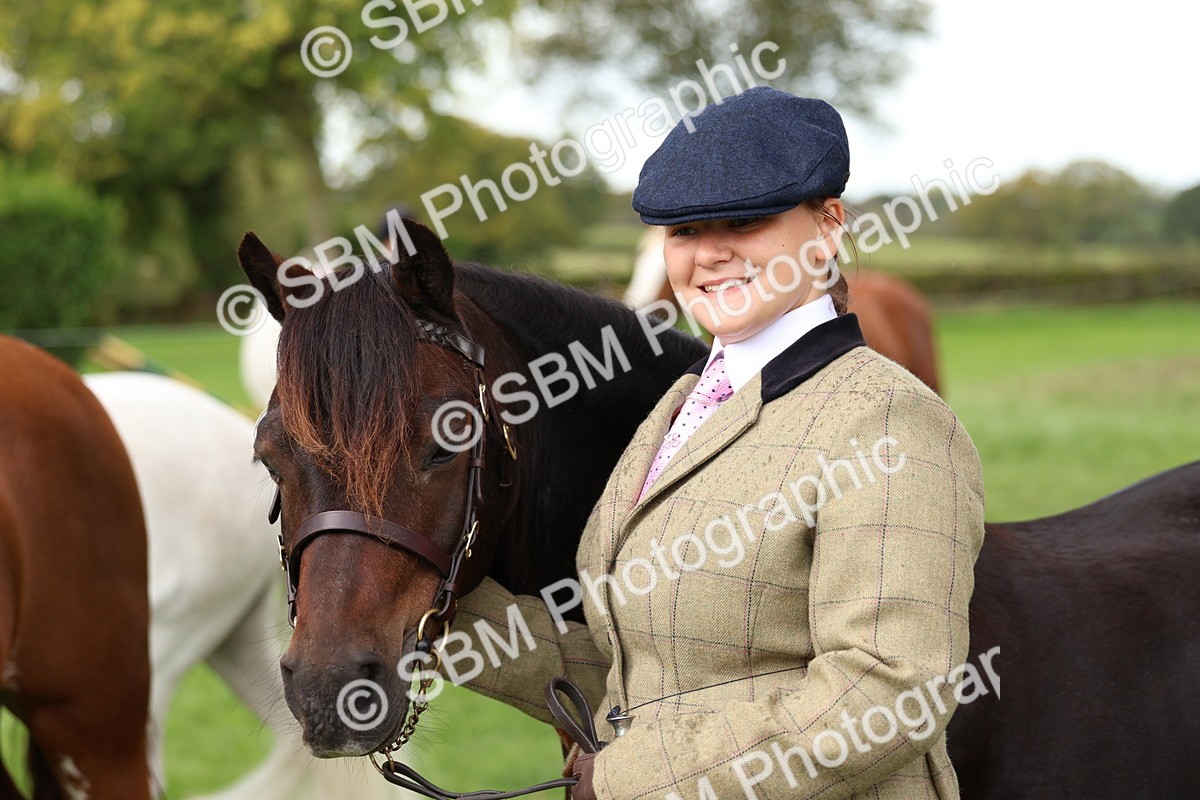 SBM_39367 - S24 - Young Veteran In Hand