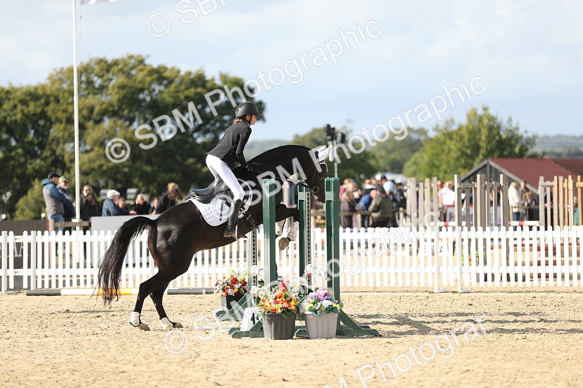 SBM_49561 - J22 - Junior Horse 65cm Championship
