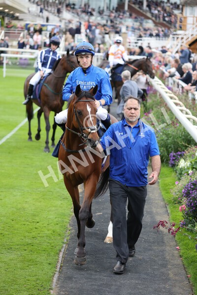 yr24092021r3-3 - Race 3 2.40pm WilliamHill.com Best Odds Guaranteed Stakes