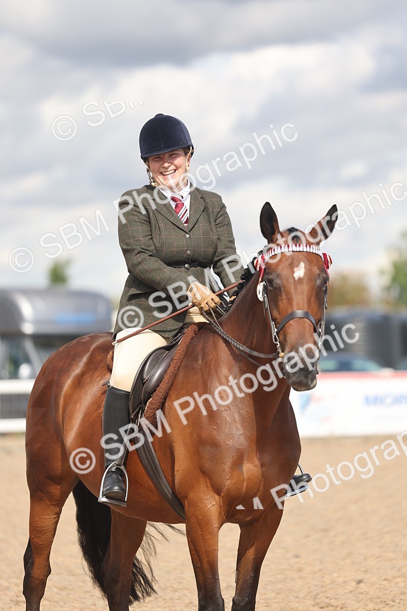 SBM_13193 - Class 306 - Ridden Foreign Breds - Part Bred