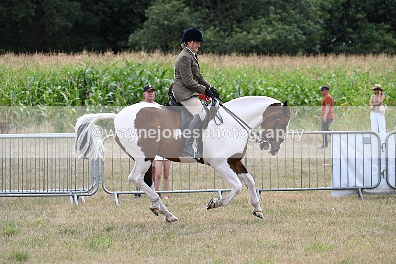 WJ7_5639 - Class 12 Ridden Cob