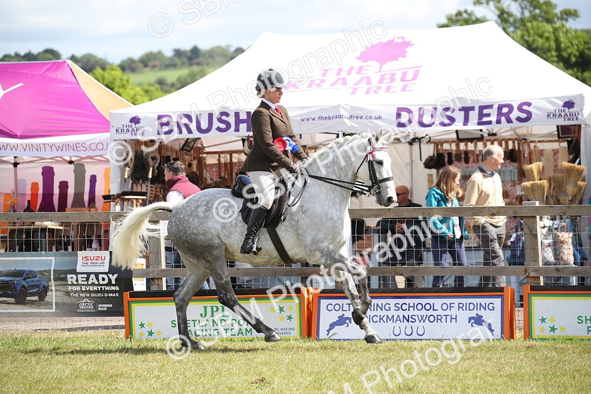 SBM_13350 - Class 95-96 - LIHS BSHA Rising Star Hack Riding Horse