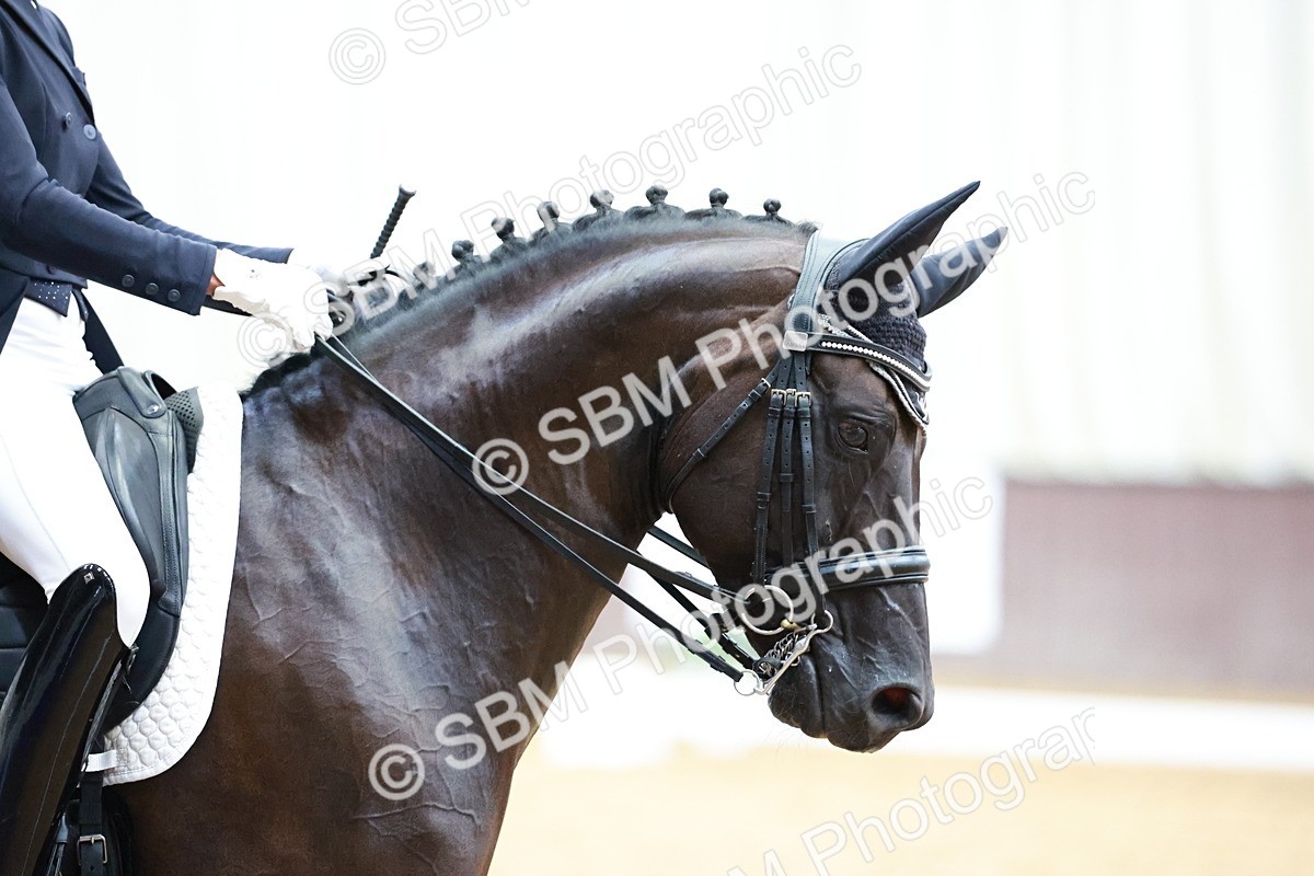 SBM_019157 - Class 12 - FEI PSG - 13.00-13.48