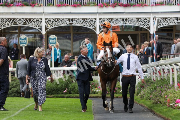 yr17082022r7-34 - Race 7 5.20pm Sky Bet Nursery Handicap