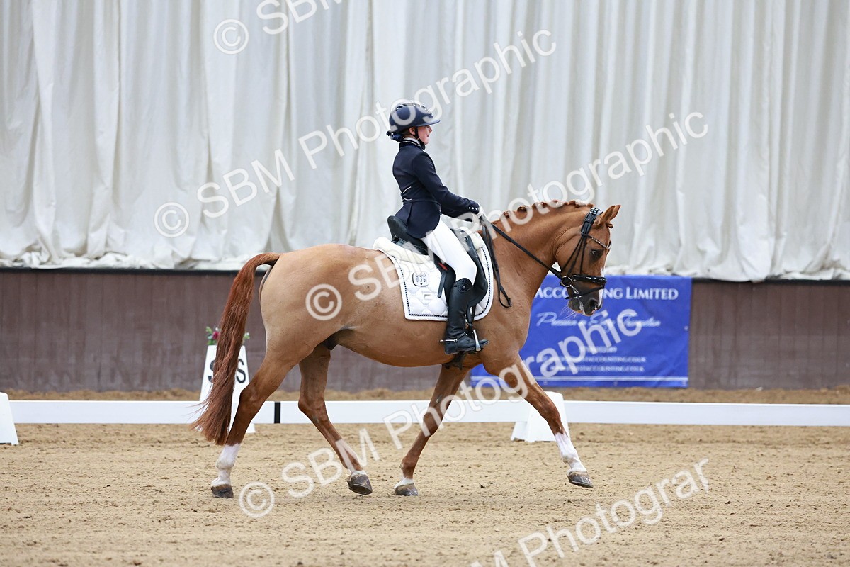 SBM_017065 - Class15 - FEI Pony