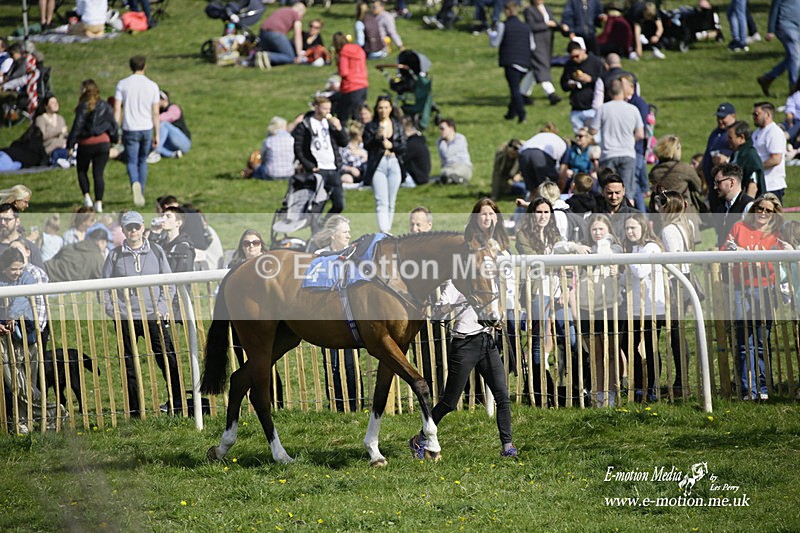 PtP 180422 206 - Old Berkshire PtP Lockinge 18/04/22