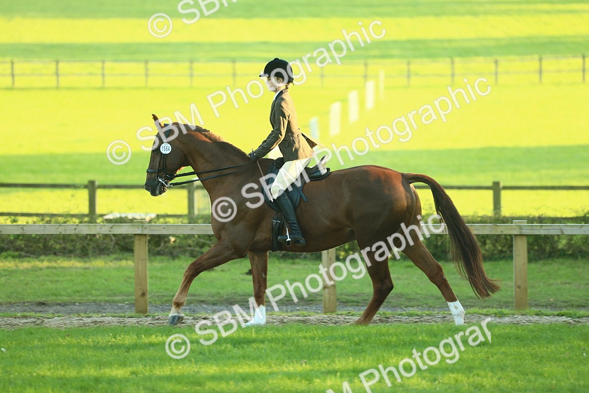 SBM_56458 - S14 - Riding Club Horse
