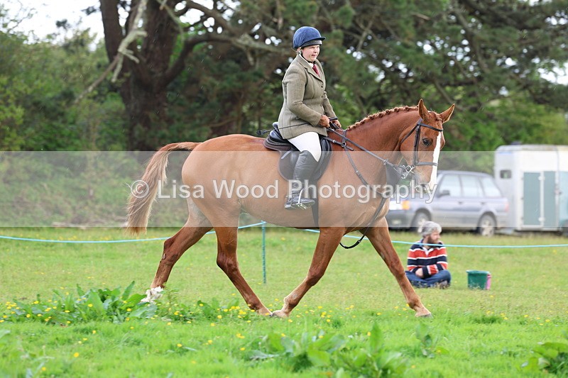 3E7A2575 - Classes 30 and 31: 80cm Working Hunter