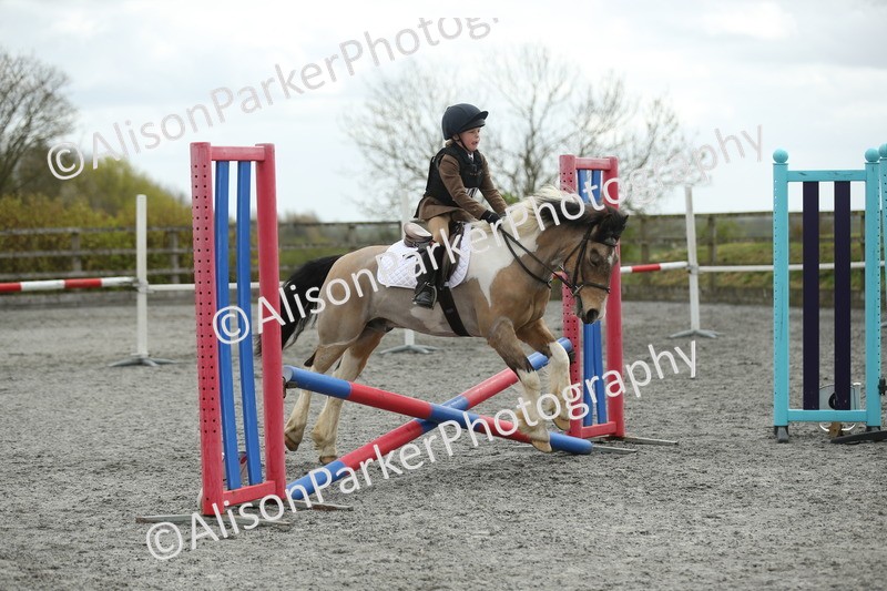 20260412-0640 - Show Jumping
