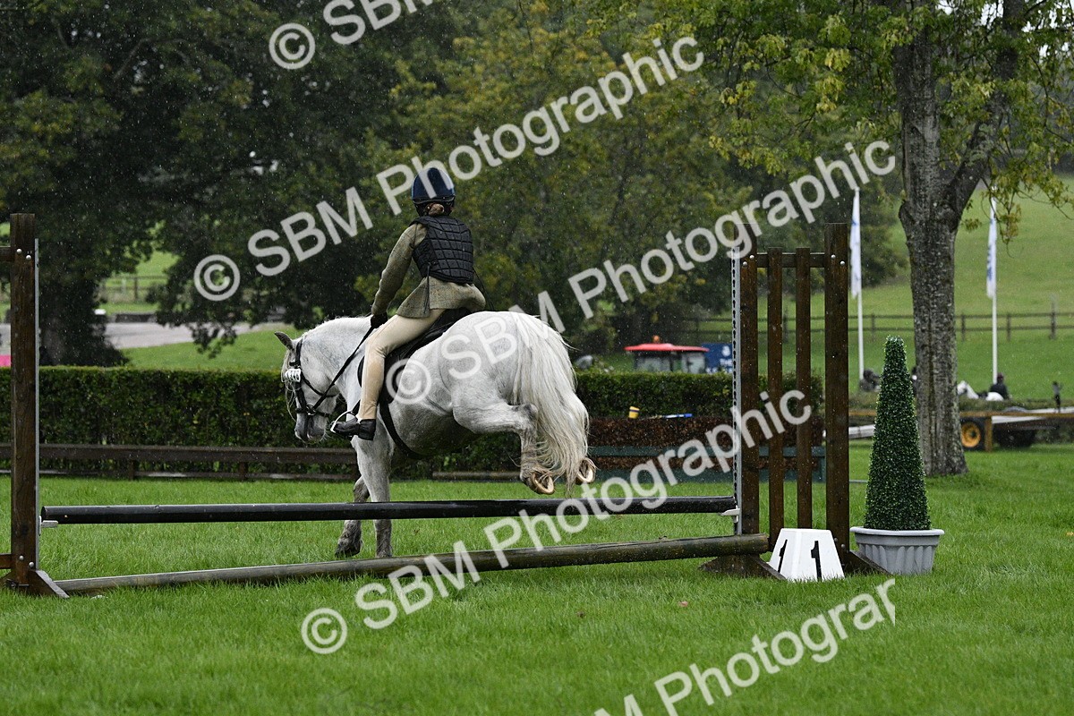 SBM_37111 - S31 - Novice & Newcomer Working Hunter Pony
