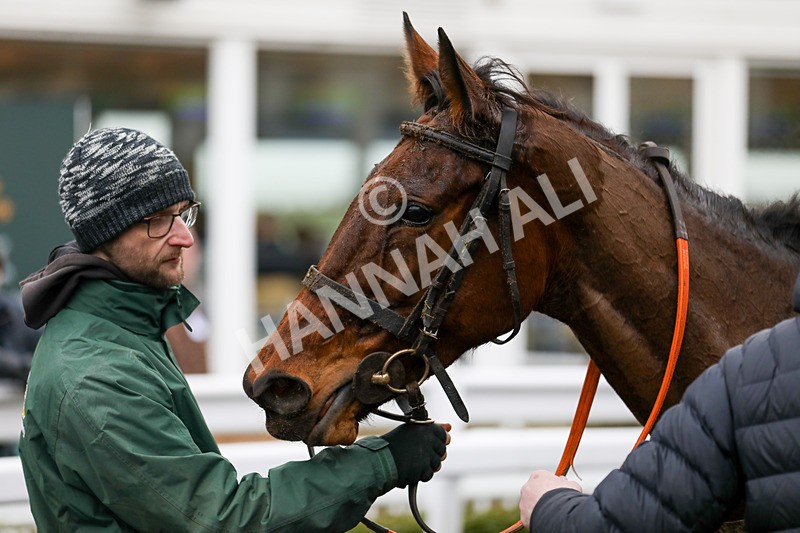 110124-Race 2-Its Maisy-4915 - Race 2