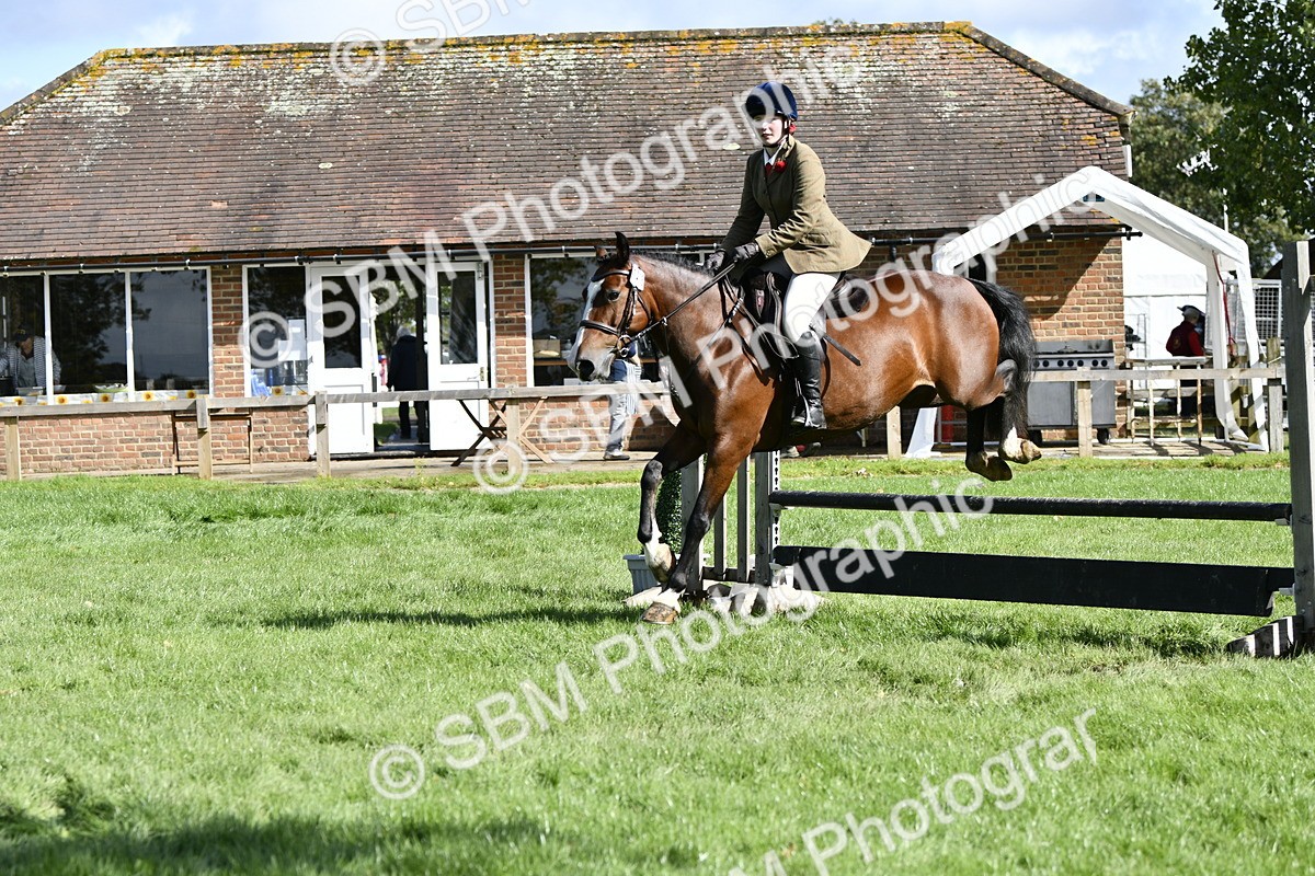 SBM_45731 - S33 - Working Hunter Pony