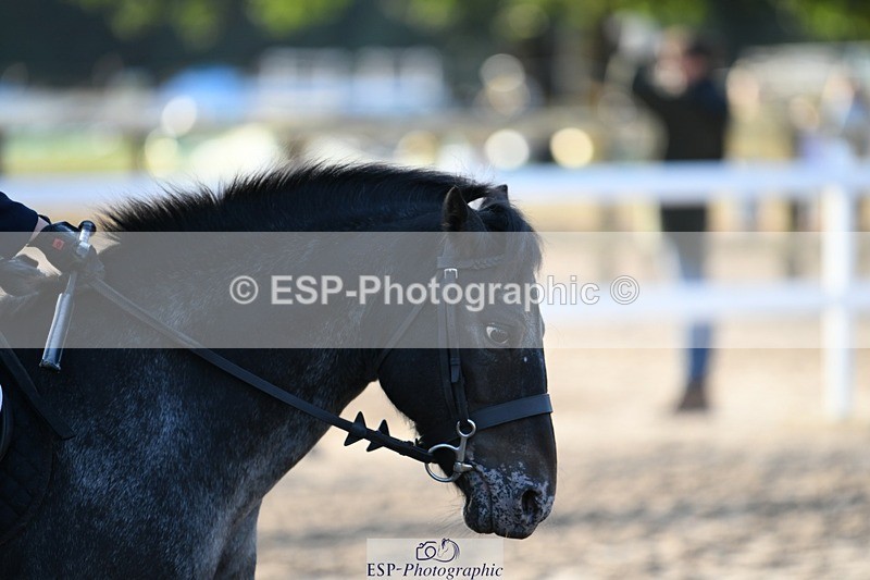 250822A-075506-18202 - NAF Round 1 Start to 9.10