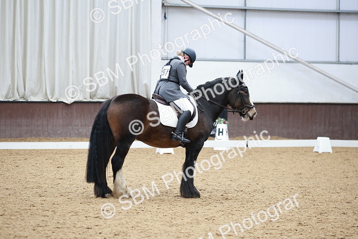 SBM_003861 - Class 2 - Novice 2020