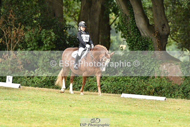 250820A-121531-05516 - 12 to 13.00