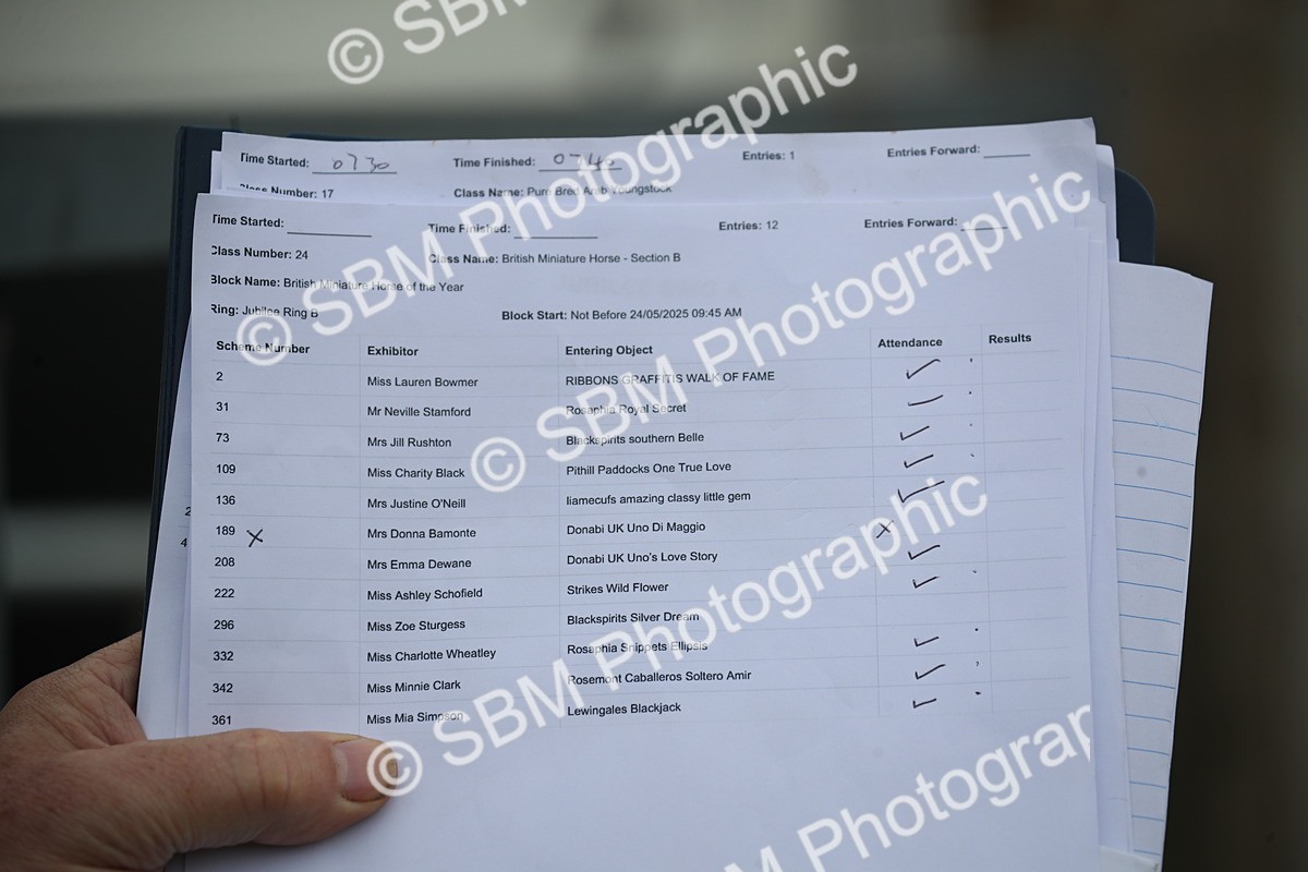 SBM_03857 - Class 23-25 - British Miniature Horse of the Year