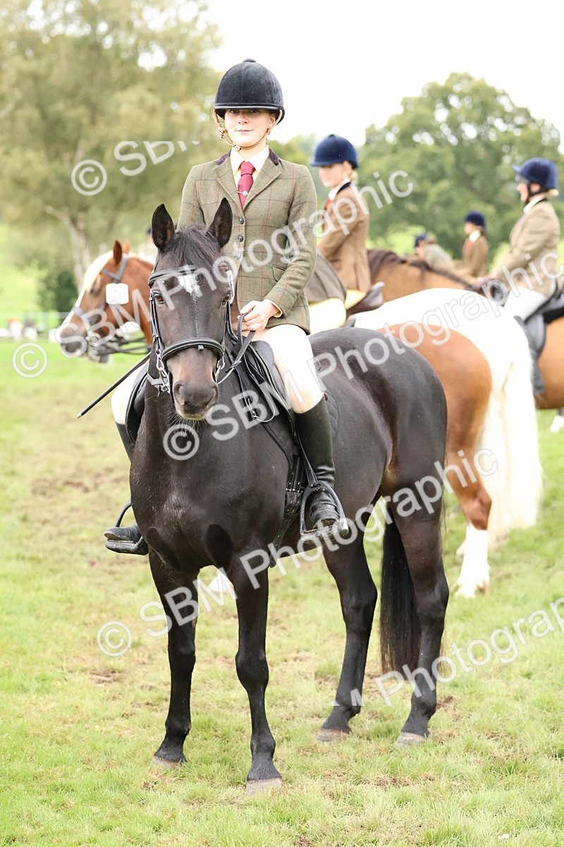 SBM_69658 - S62 - Mountain & Moorland Ridden Large Breeds