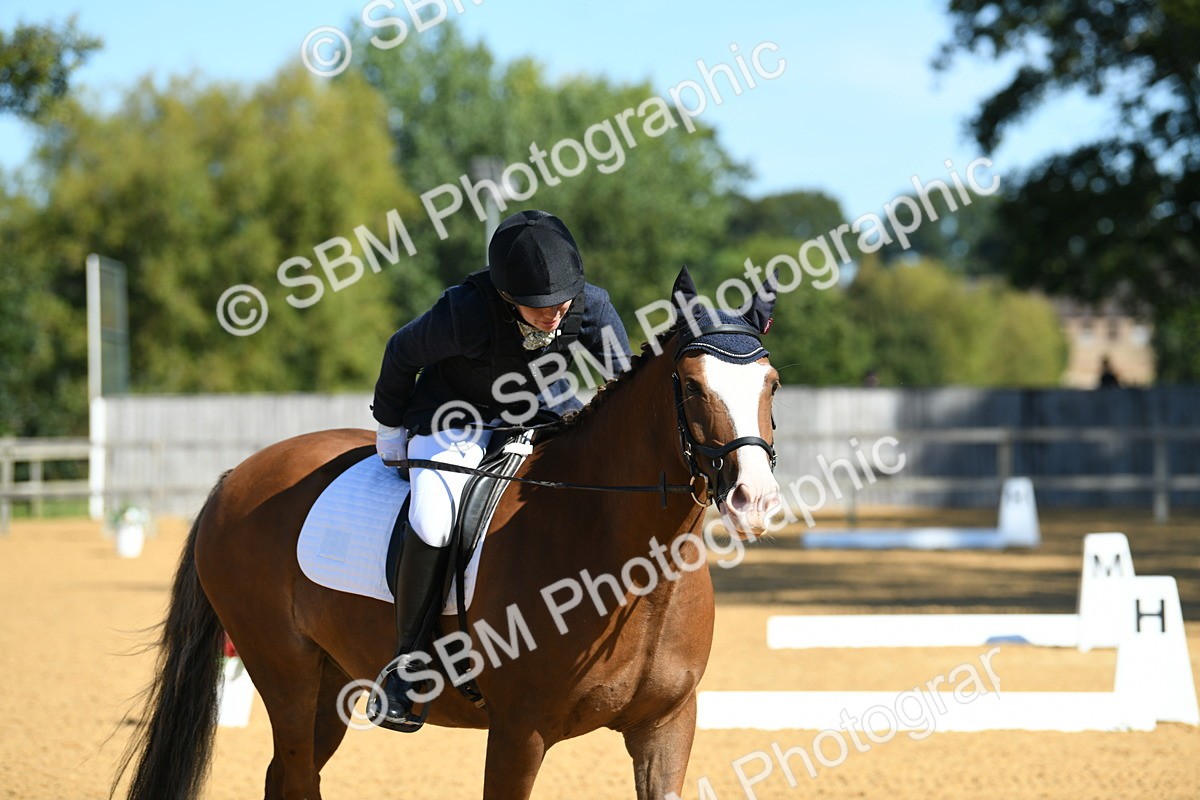SBM_18158 - D4 - Small Tour Championship - Intro B