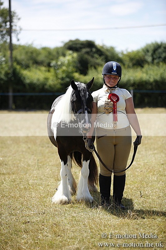 _C7A0163 - In Hand Championship BVRC Show 2018