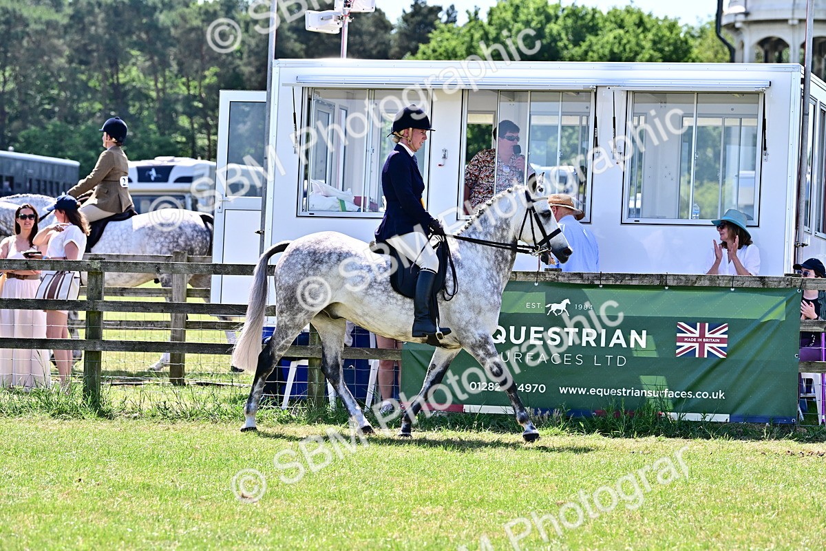 SBM_17525 - Class 95-97 - BSPS LHS Performance Ponies