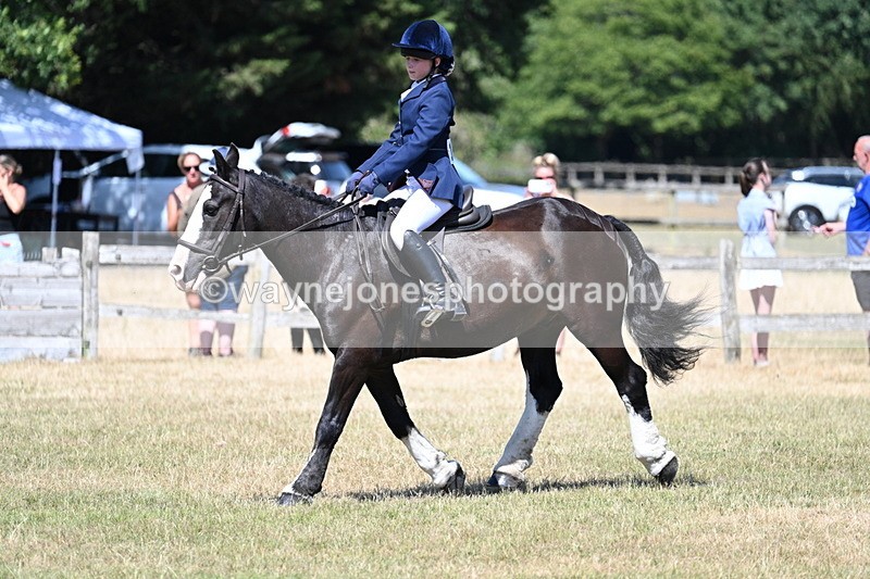 WJ7_3688 - Class 8 Ridden Veterans