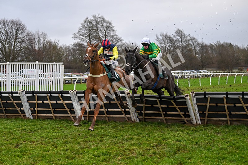 110124-Race 4-Hasthing-2588 - Race 4