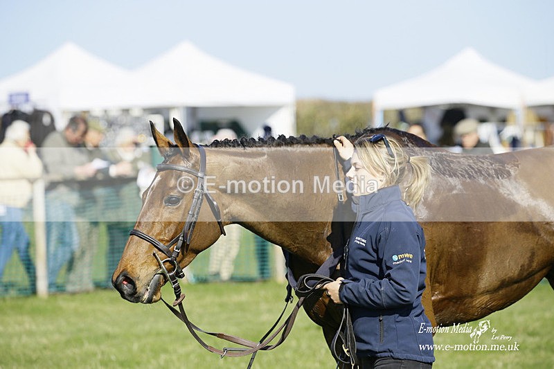 PtP 190322 628 - Wilton Hunt PtP Milborne St Andrew 19/03/22