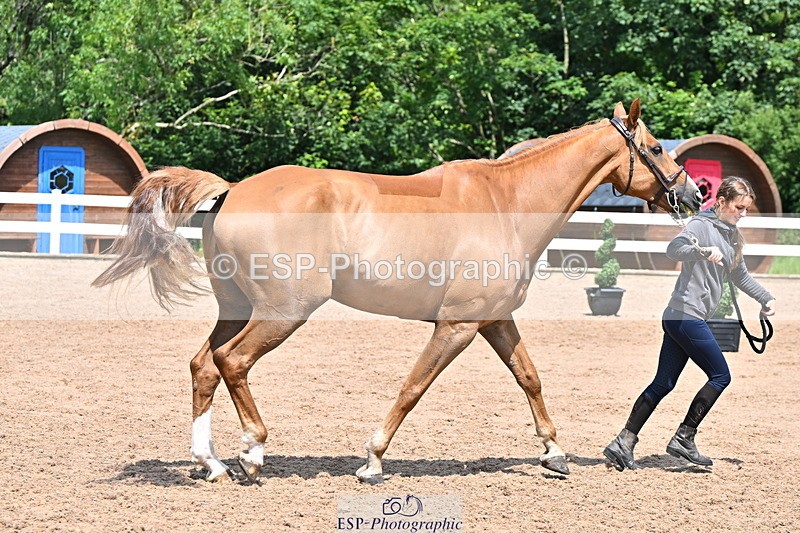 240718A-105315-01750 - Trot Up 1pm to 2pm