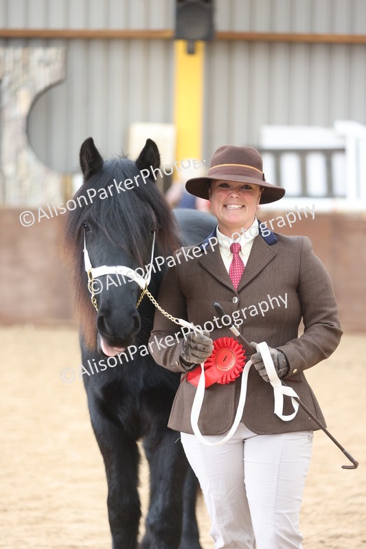 20251109-0860 - Class 25 - Yearling, Colt, Filly or Gelding