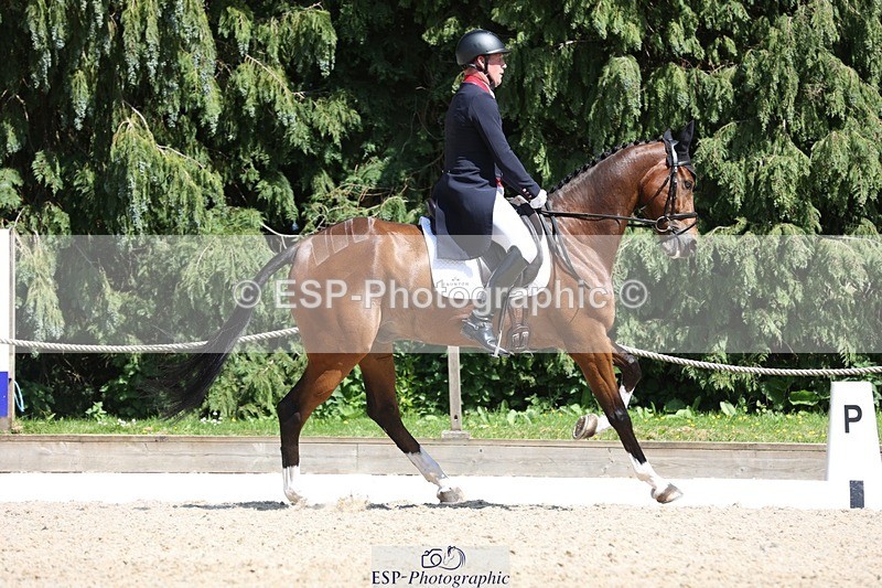 230526-145017-06563 - 375-FINLEY_DU_LOIR-Oliver_Townend-WEDTrotUp+DR