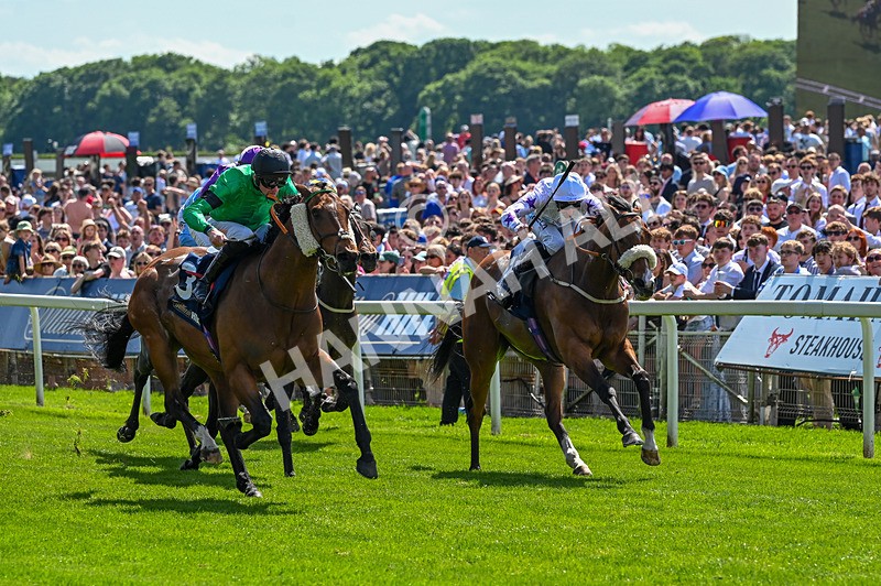 230526-Race 3-Partisan Hero-6539 - Race 3 14.40pm William Hill Epic Boost Handicap