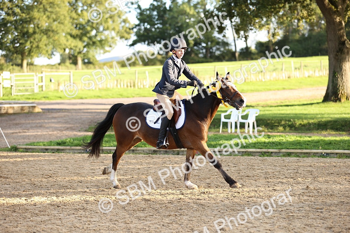 SBM_52129 - J10 - Junior Pony 75cm Championship